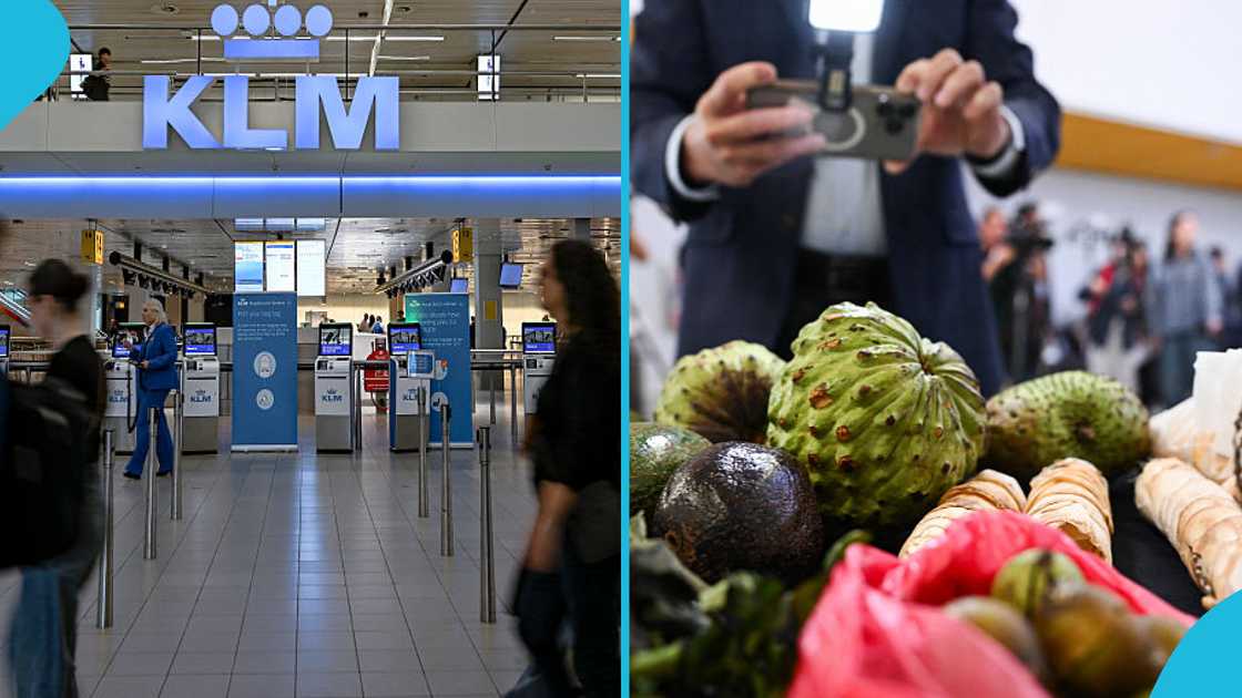 Netherlands’ Latest List of Food Items Ghanaians are Not Allowed to Enter Country With