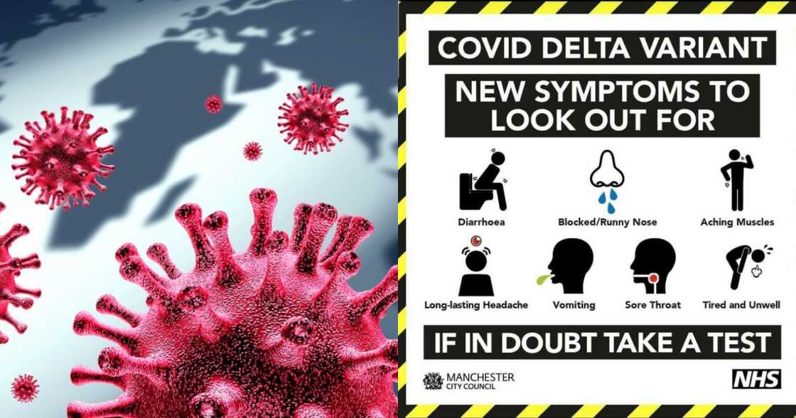 7 major symptoms of the New Delta variant of the COVID-19 7 major symptoms of the New Delta variant of the COVID-19