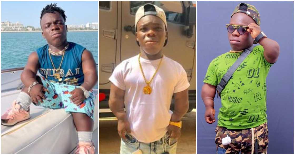 Diminutive socialite, Shatta Bandle, Fashion, Wife, Children, Funny videos Diminutive socialite, Shatta Bandle, Fashion, Wife, Children, Funny videos