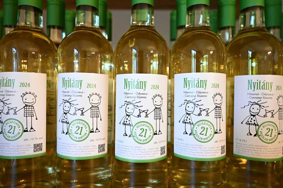 The government has allocated millions of euros to detect and protect against the disease's spread The government has allocated millions of euros to detect and protect against the disease's spread