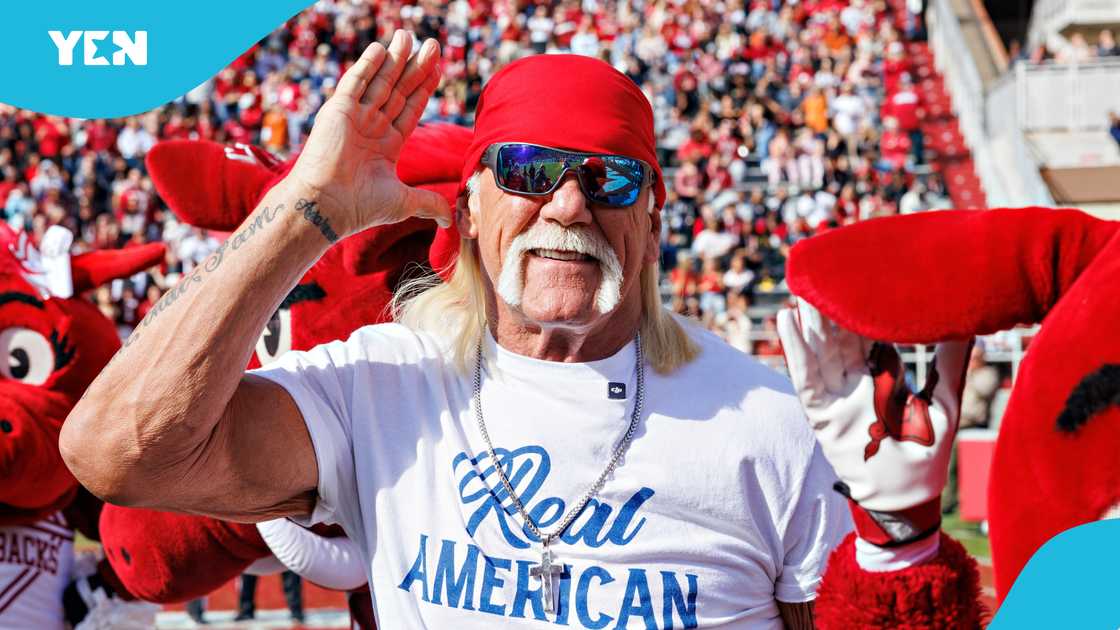 Hulk Hogan, WWE championships, Florida, Wrestling Hulk Hogan, WWE championships, Florida, Wrestling