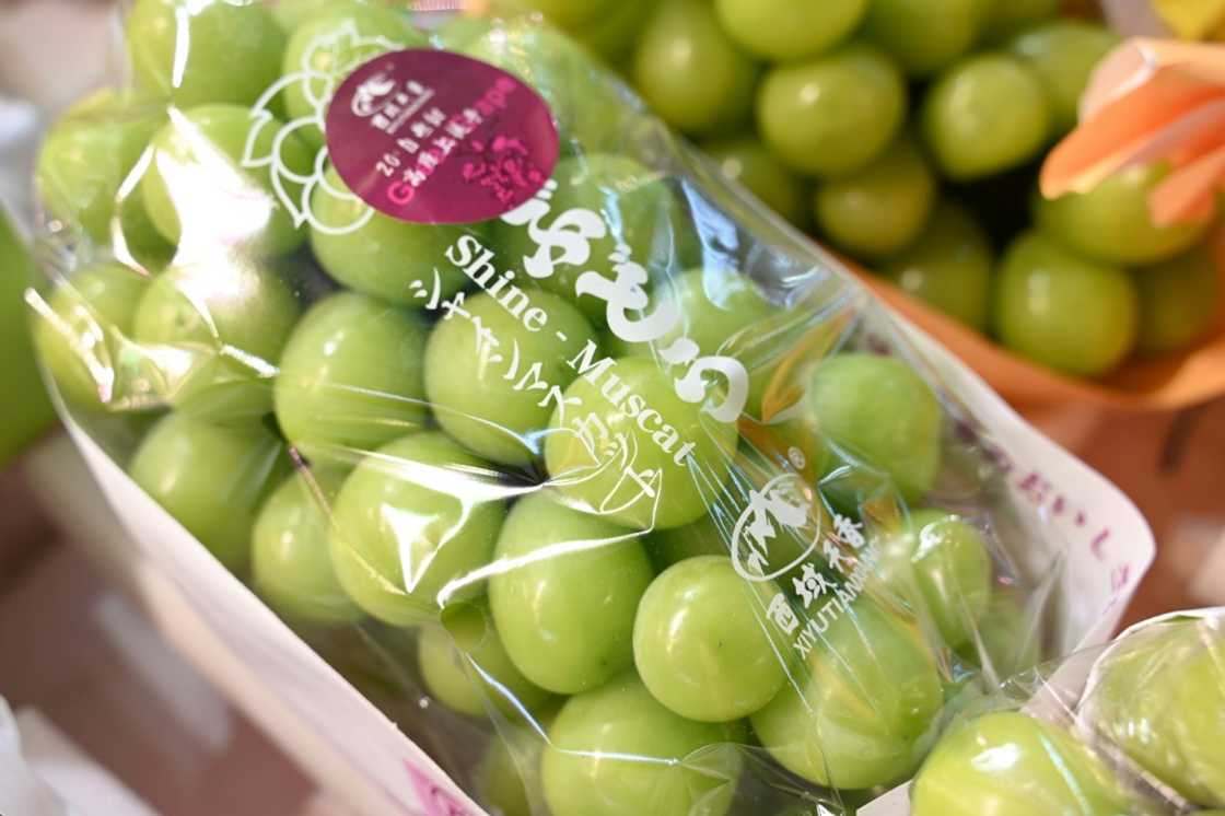 China-grown Shine Muscat grapes are widely available on sale in Hong Kong China-grown Shine Muscat grapes are widely available on sale in Hong Kong