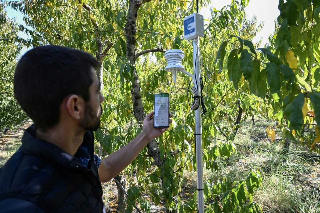 A new generation of Greek farmers see high technology as key to their ailing sector A new generation of Greek farmers see high technology as key to their ailing sector