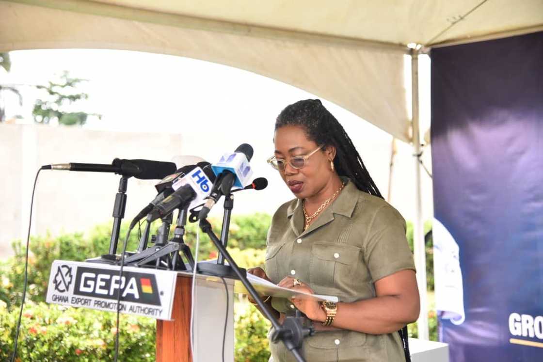 Ghana Export Promotion Authority Ghana Export Promotion Authority