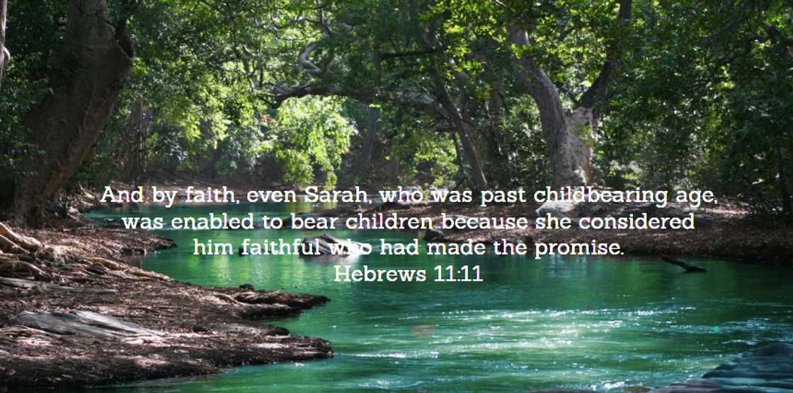 What is faith What is faith