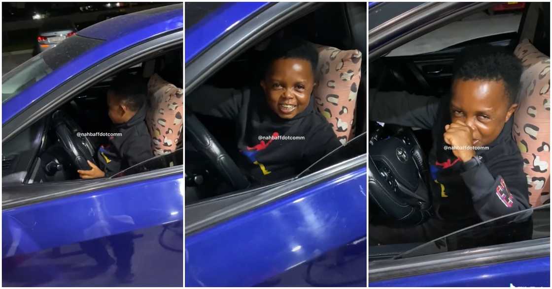 Don Little Don Little