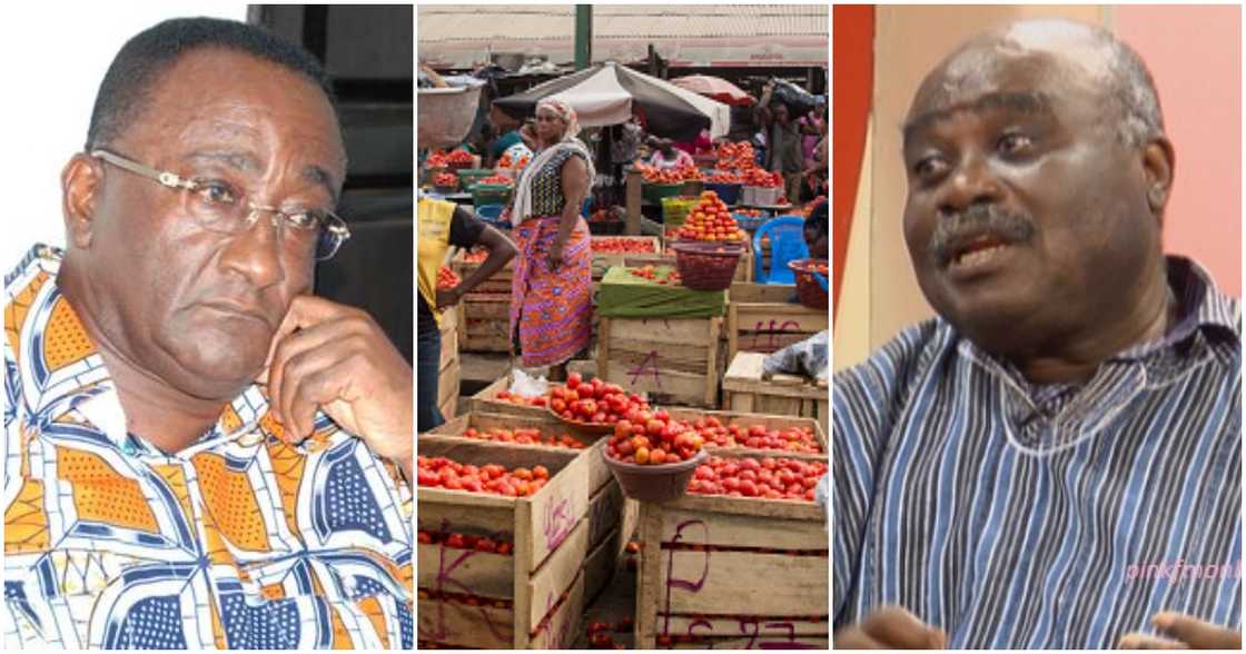 Afriyie Akoto has been mocked for plans to retail foodstuffs at the agric ministry. Afriyie Akoto has been mocked for plans to retail foodstuffs at the agric ministry.