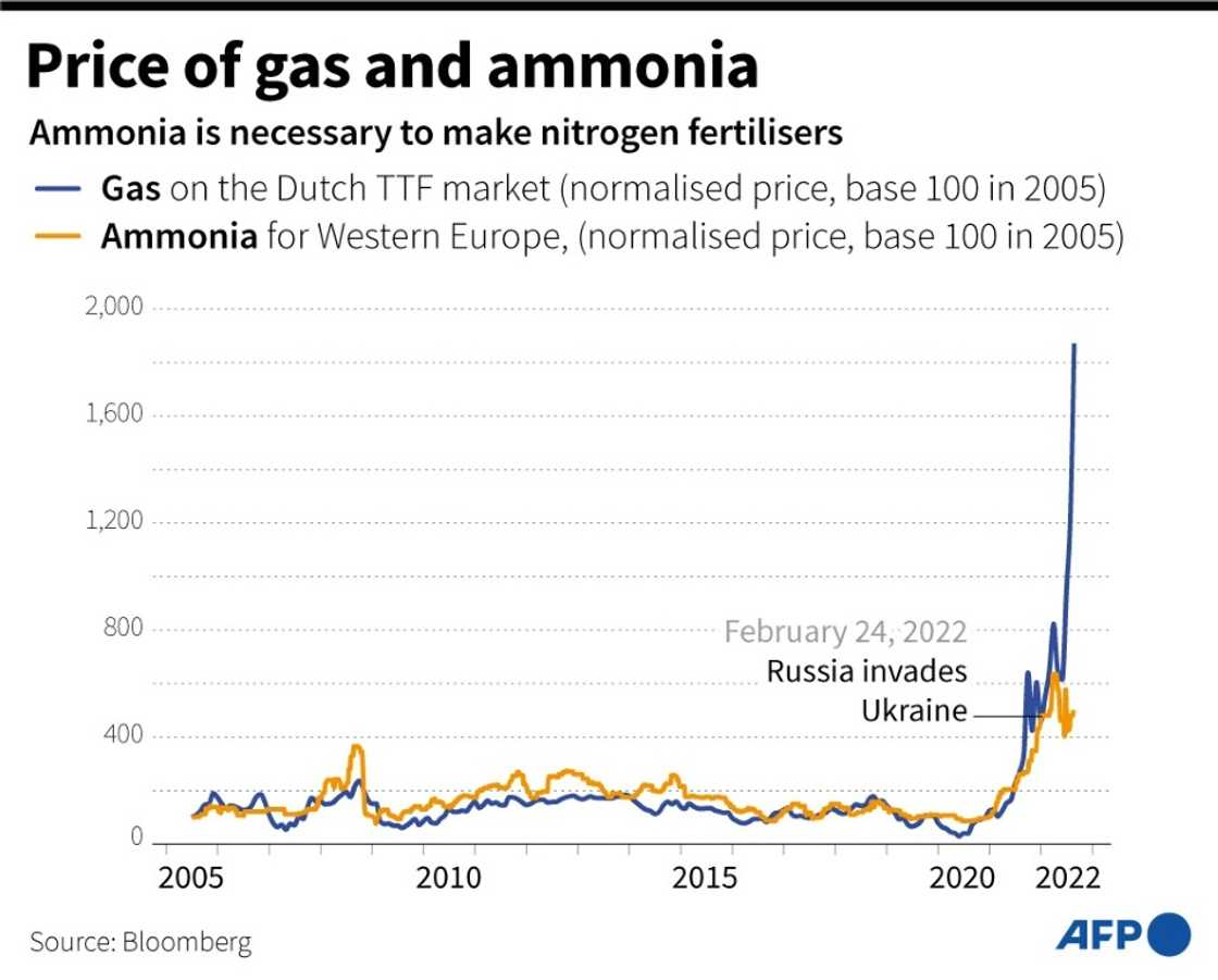 Price of gas and ammonia Price of gas and ammonia