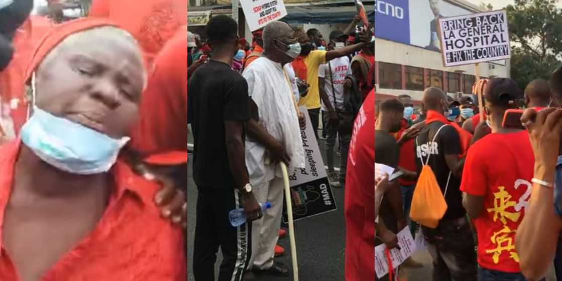 FixTheCountry: Senior citizens join demo as 72-year-old woman cries uncontrollably in video