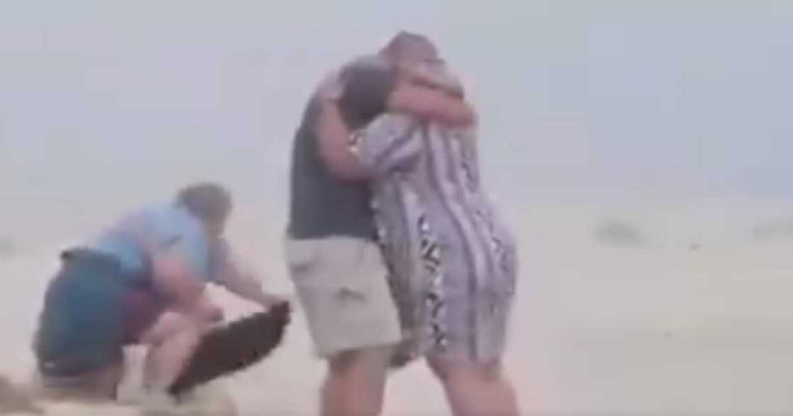 Beach Proposal Goes Hilariously Wrong, SA Applauds Photographers Commitment Beach Proposal Goes Hilariously Wrong, SA Applauds Photographers Commitment