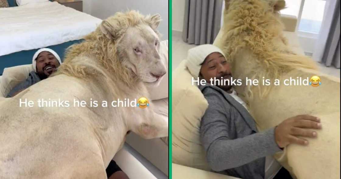 A man is sitting with a lion on his lap