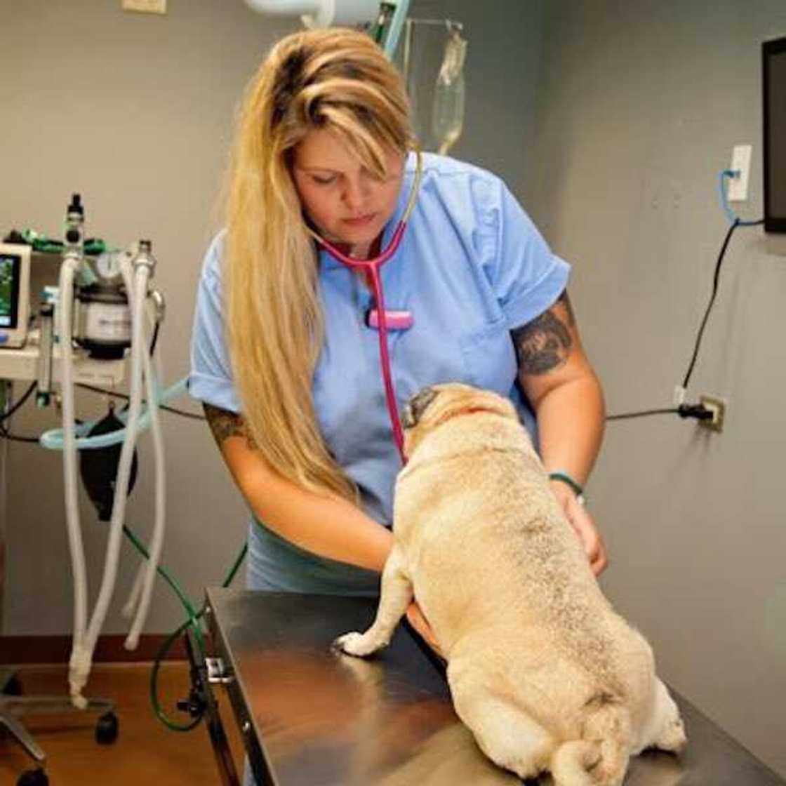 What happened to Tasha on Dr Jeff? What happened to Tasha on Dr Jeff?