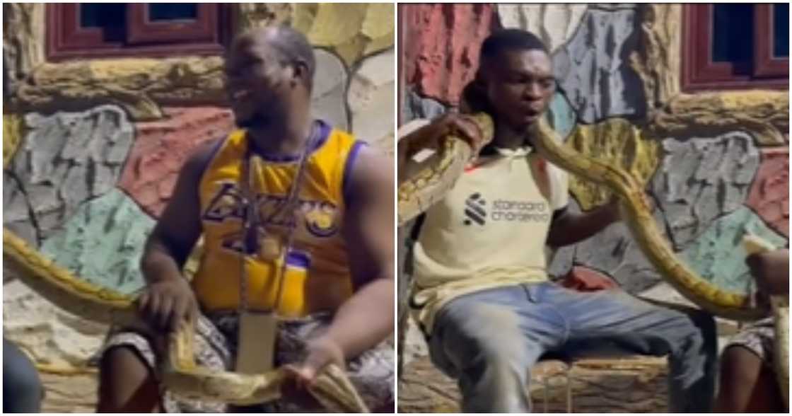 Fetish priest and snake Fetish priest and snake