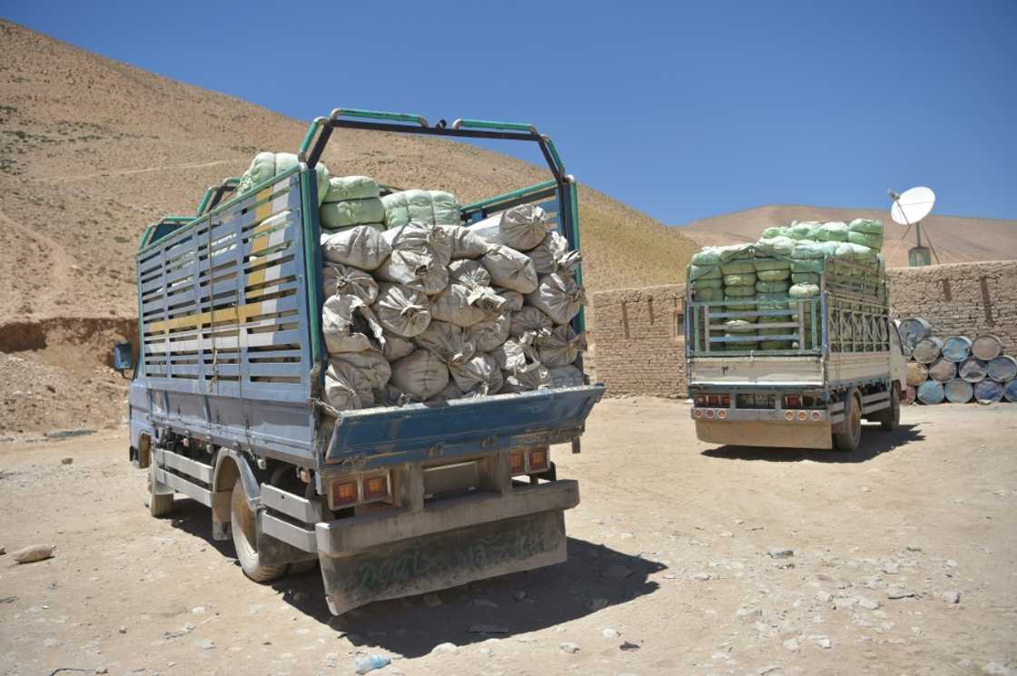 While the June fighting lasted only a few days, the United Nations says it displaced at least 27,000 people -- almost all of them Hazara While the June fighting lasted only a few days, the United Nations says it displaced at least 27,000 people -- almost all of them Hazara