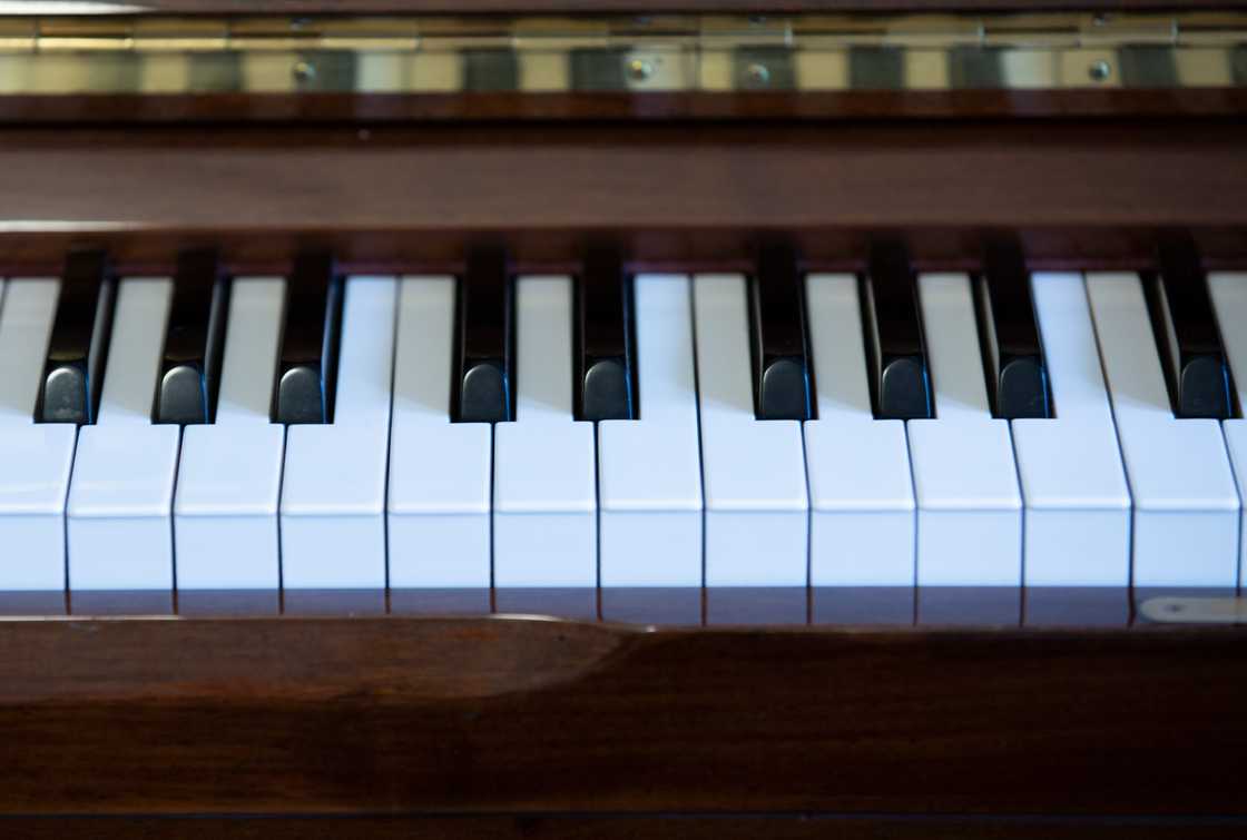 hardest instrument to play hardest instrument to play