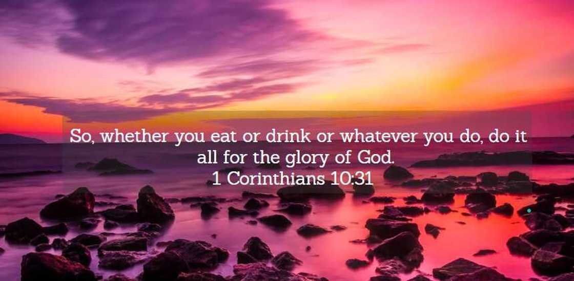 words of wisdom words of wisdom