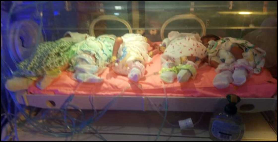 Quintuplets belonging to 37-year-old Ghanaian mother Hellen Tetteh Quintuplets belonging to 37-year-old Ghanaian mother Hellen Tetteh