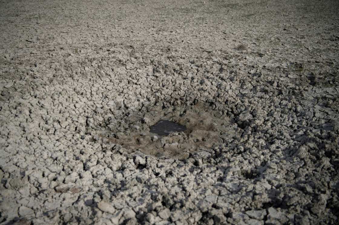 A waterhole at Spain's Donana Natural Park which is feeling the effects of a prolonged drought A waterhole at Spain's Donana Natural Park which is feeling the effects of a prolonged drought