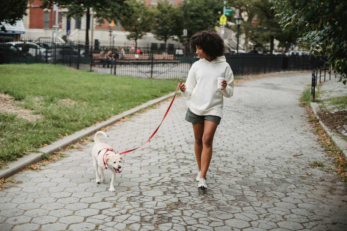 A black woman walking her dog A black woman walking her dog