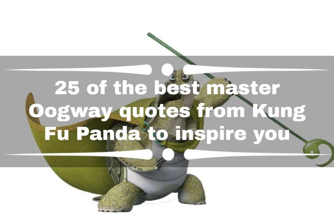 25 of the best Master Oogway quotes from Kung Fu Panda to inspire you ...