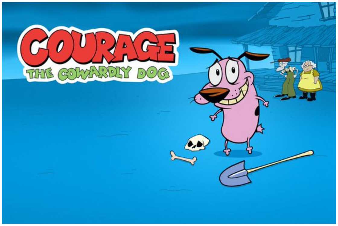 Is courage the cowardly dog based on a true story Is courage the cowardly dog based on a true story