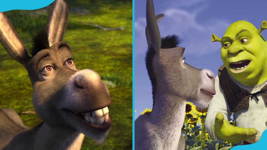 Donkey with his teeth out (L) and chatting with Shrek (R)