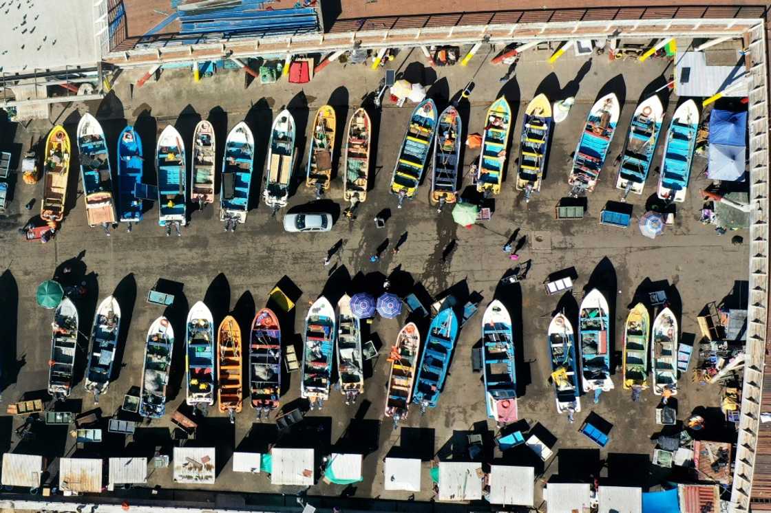 Fishing boats at Caleta Portales in Valparaiso. Chile formally accepted the deal in December 2023 Fishing boats at Caleta Portales in Valparaiso. Chile formally accepted the deal in December 2023