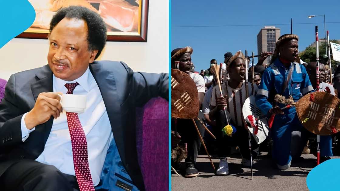 Shehu Sani, Cyril Ramaphosa, Ghana, South Africa, xenophobic attacks, Ghana-South Africa relations, state visit, Nigerian senator Shehu Sani, Cyril Ramaphosa, Ghana, South Africa, xenophobic attacks, Ghana-South Africa relations, state visit, Nigerian senator
