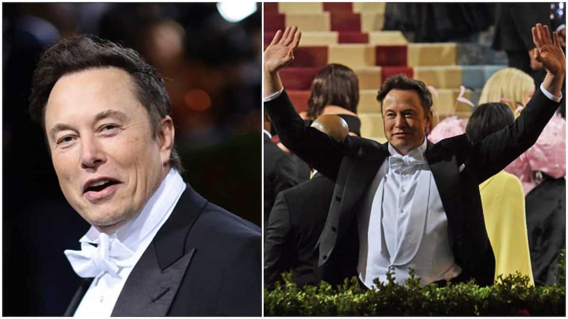 Elon Musk said majority of people will be in hell. Elon Musk said majority of people will be in hell.