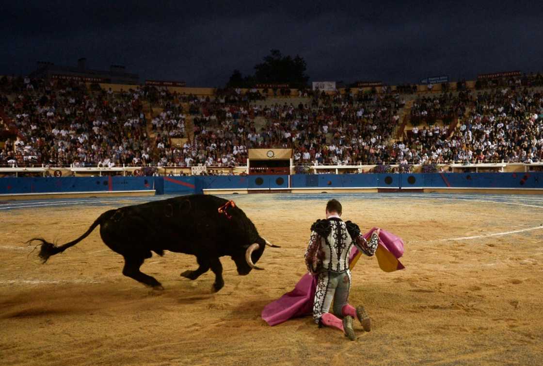 MPs will be voting for the first time on a bill to ban the practice MPs will be voting for the first time on a bill to ban the practice