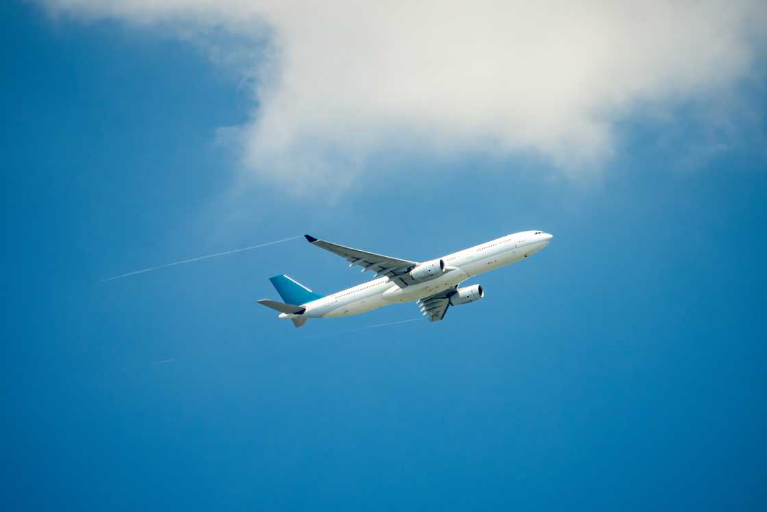 Visa, Ghana, Visa Officer, Travel, Student, New Zealand, Wokers Visa, Ghana, Visa Officer, Travel, Student, New Zealand, Wokers