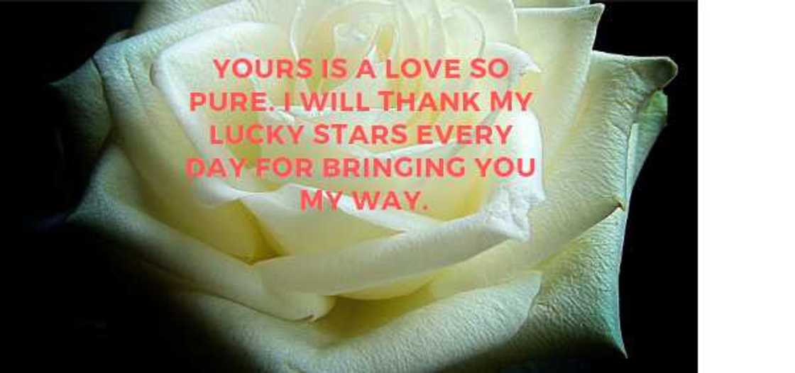 thank you quotes thank you quotes