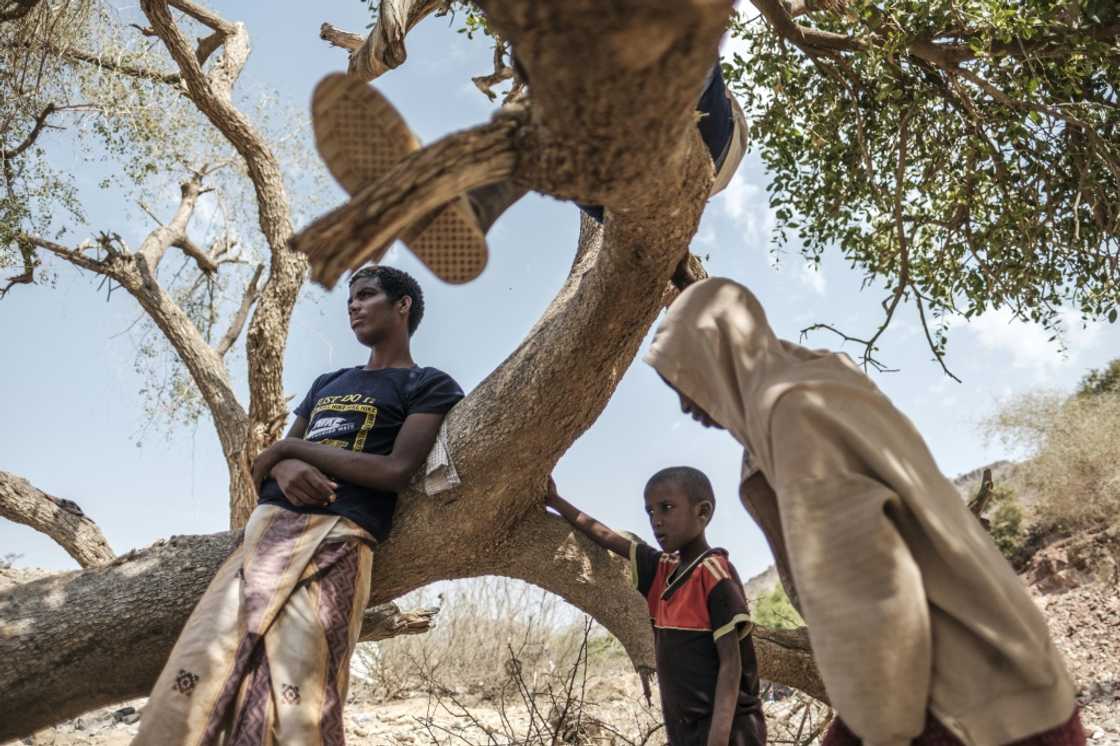 The UN says that across all of northern Ethiopia -- Tigray, Afar and Amhara -- more than 13 million people are in need of food aid