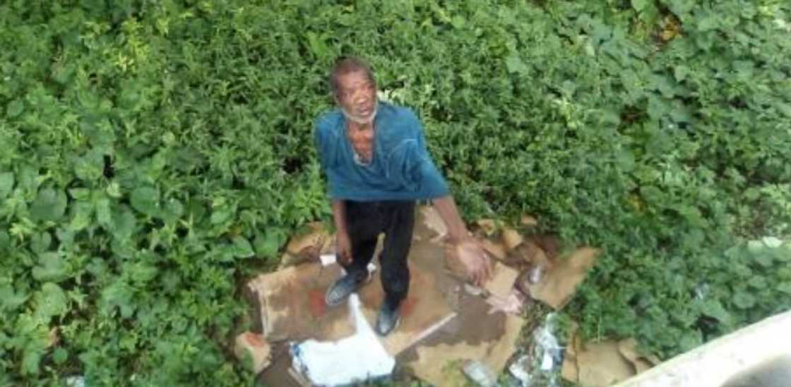 Former banker Stafford Malcolm now begs to survive Former banker Stafford Malcolm now begs to survive