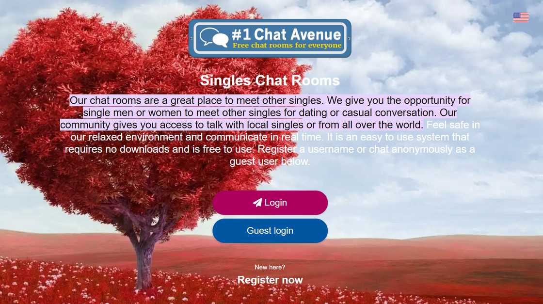 The homepage of the Chat Avenue website. The homepage of the Chat Avenue website.