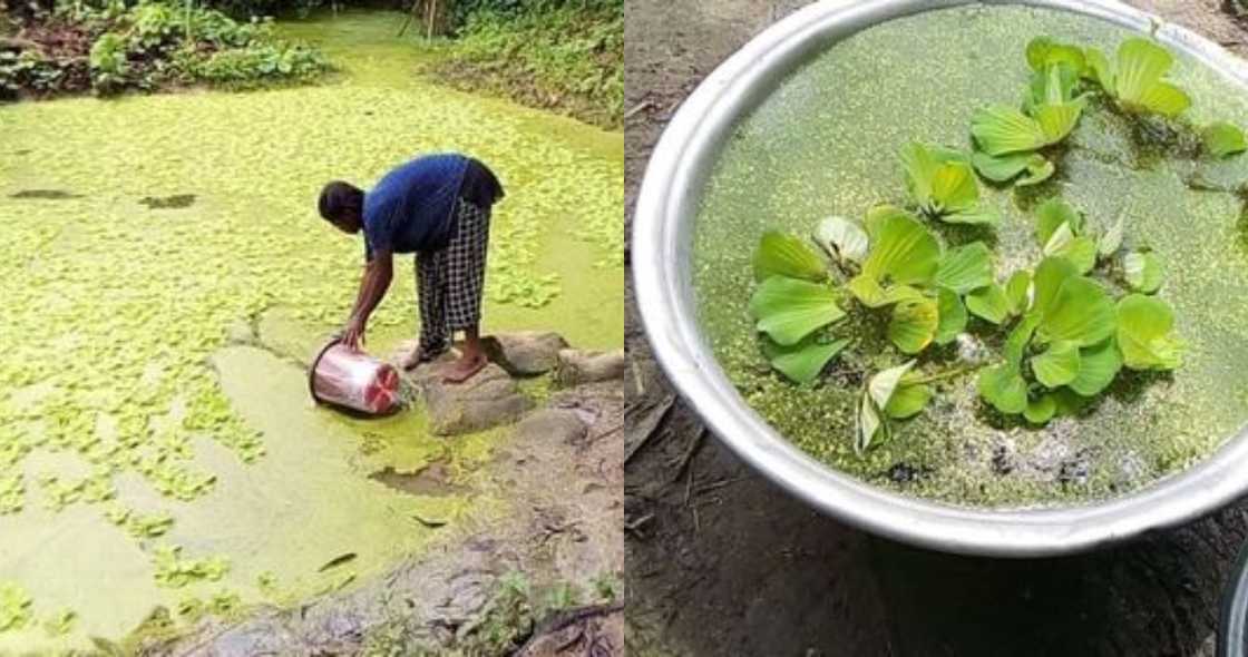 Ghanaian Young man's NGO to Provide Potable Water to 50 Communities Ghanaian Young man's NGO to Provide Potable Water to 50 Communities