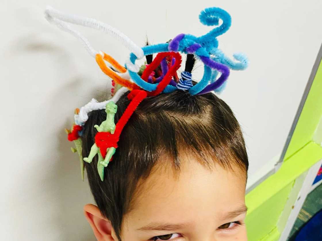 Crazy Hair Day Crazy Hair Day