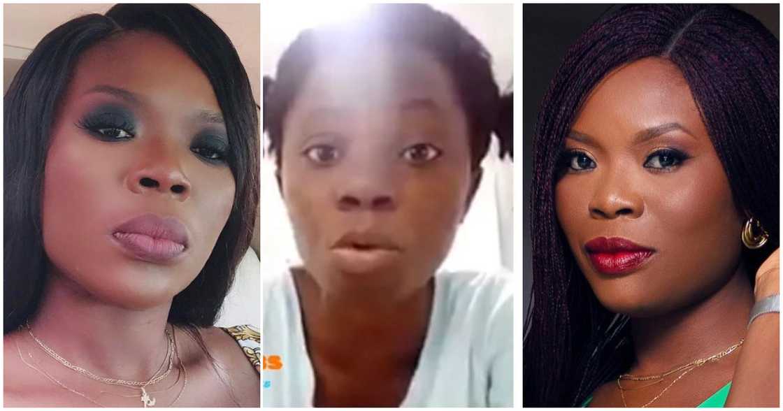 Delay reports fake houshelp Delay reports fake houshelp