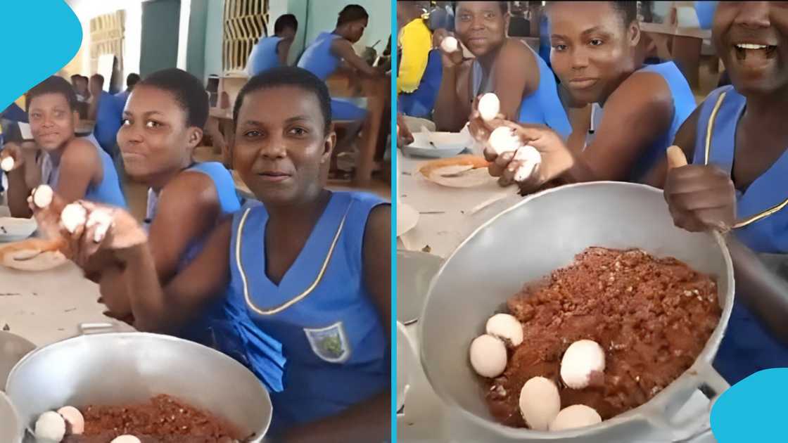 SHS in Ghana, Secondary education, SHS student, NDC, Waakye, Rice and beans, Waakye with eggs, quality food, John Mahama. SHS in Ghana, Secondary education, SHS student, NDC, Waakye, Rice and beans, Waakye with eggs, quality food, John Mahama.