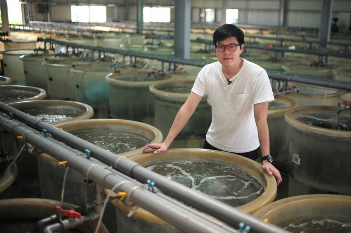 Hans Chen, who manages a fish farm of 500,000 groupers, says 90 percent of their stock is typically sold to Chinese buyers Hans Chen, who manages a fish farm of 500,000 groupers, says 90 percent of their stock is typically sold to Chinese buyers
