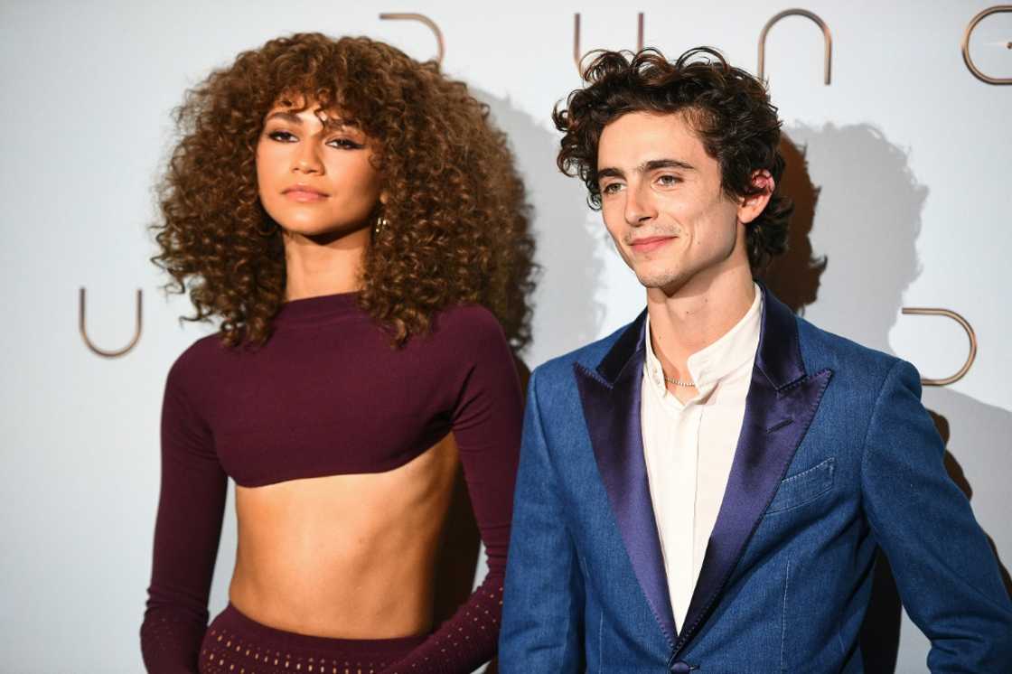 The release of 'Dune: Part Two' has been pushed into 2024, as stars Zendaya and Timothee Chalamet are currently unable to promote the film due to the actors' strike