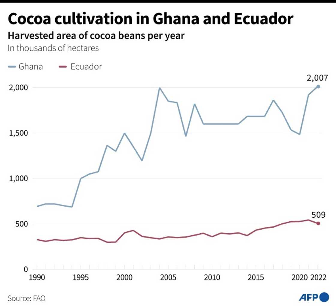 Cocoa cultivation in Ghana and Ecuador