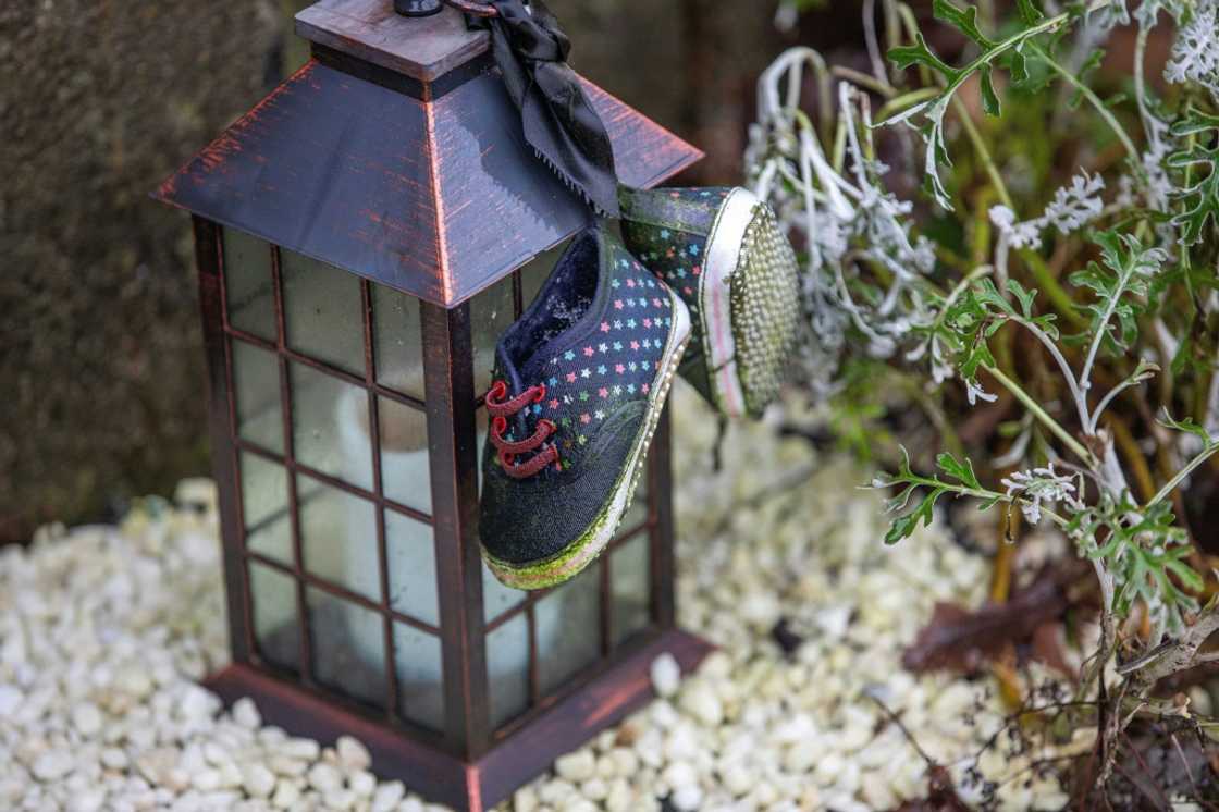 Ireland's government issued a landmark apology in 2021 for historical forced adoptions Ireland's government issued a landmark apology in 2021 for historical forced adoptions