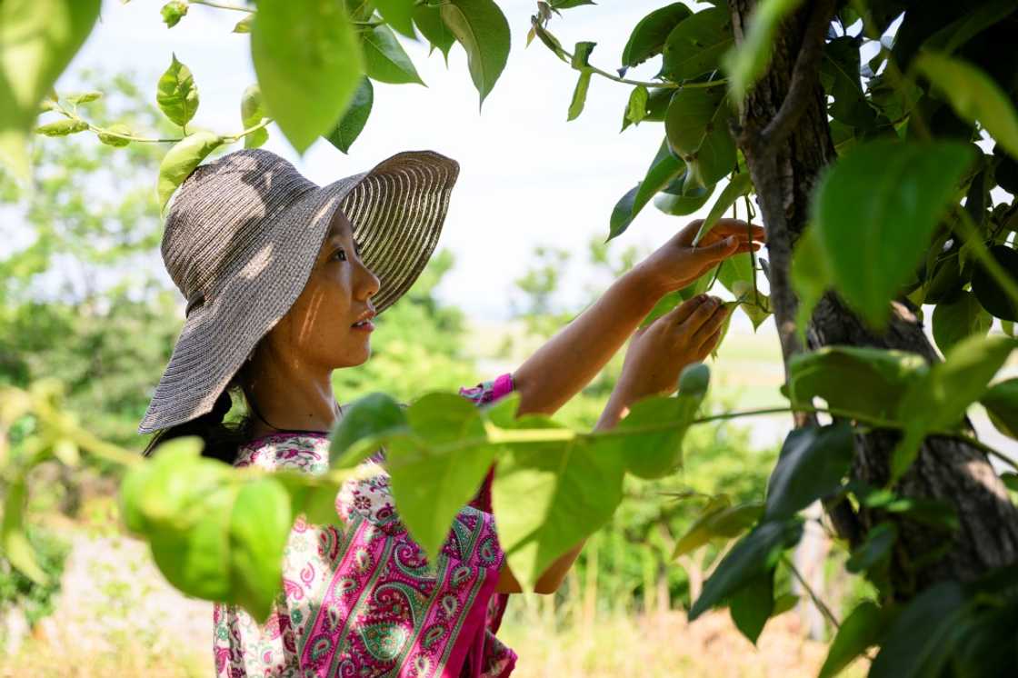 Seen Aromi's 'I Can't Help but Live Well On My Own' has become a surprise bestseller in her native South Korea Seen Aromi's 'I Can't Help but Live Well On My Own' has become a surprise bestseller in her native South Korea