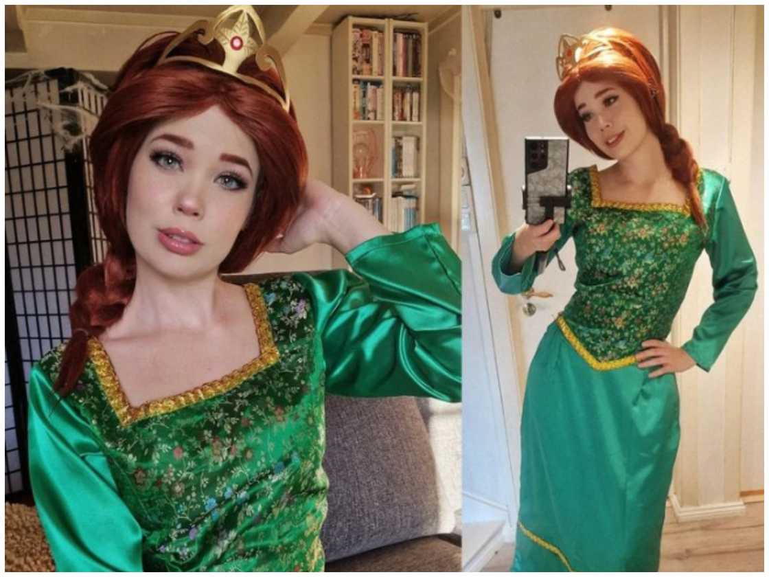 Shrek costume ideas Shrek costume ideas