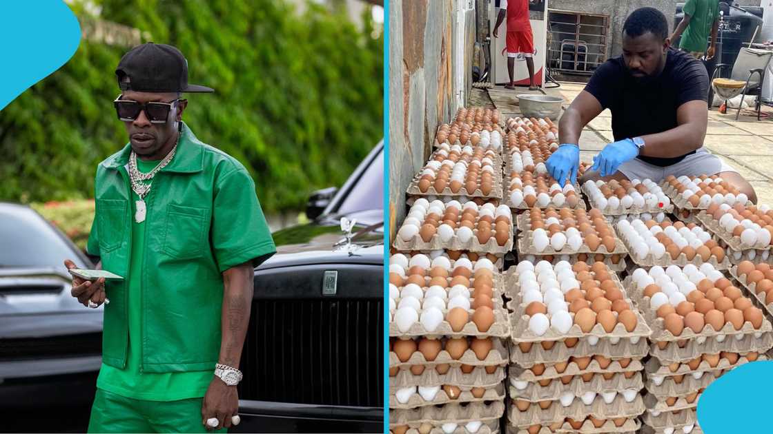 Shatta Wale, Ghanaians, social media, politics, acting, entertainment industry, online, farming Shatta Wale, Ghanaians, social media, politics, acting, entertainment industry, online, farming