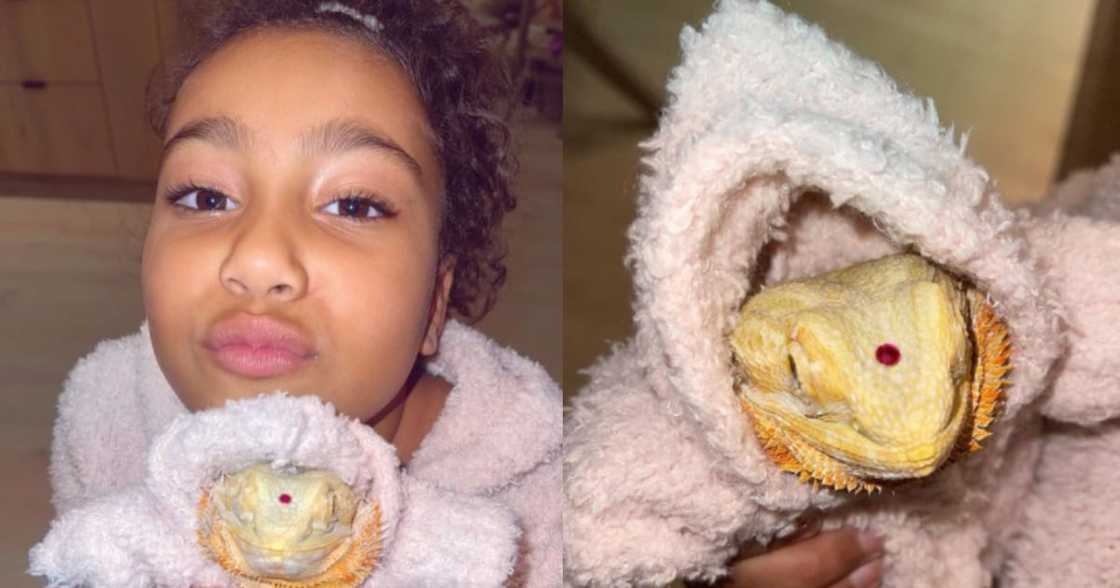 Kim Kardashian's daughter North West gets matching outfits with pet lizard Kim Kardashian's daughter North West gets matching outfits with pet lizard