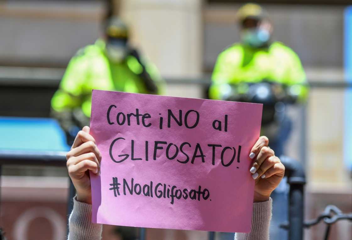 A protest against glyphosate in Colombia in 2021, where a ban on the weedkiller was lifted in 2020 A protest against glyphosate in Colombia in 2021, where a ban on the weedkiller was lifted in 2020