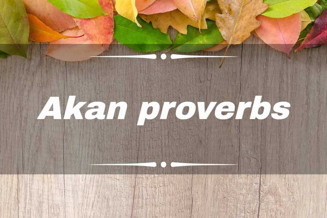 Akan proverbs