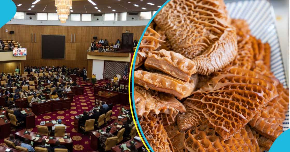 Parliament suspends importation ban Parliament suspends importation ban